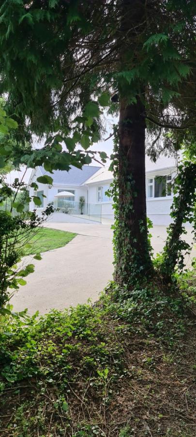 Annie'S House With Thermal Health Spa 莫维尔 外观 照片